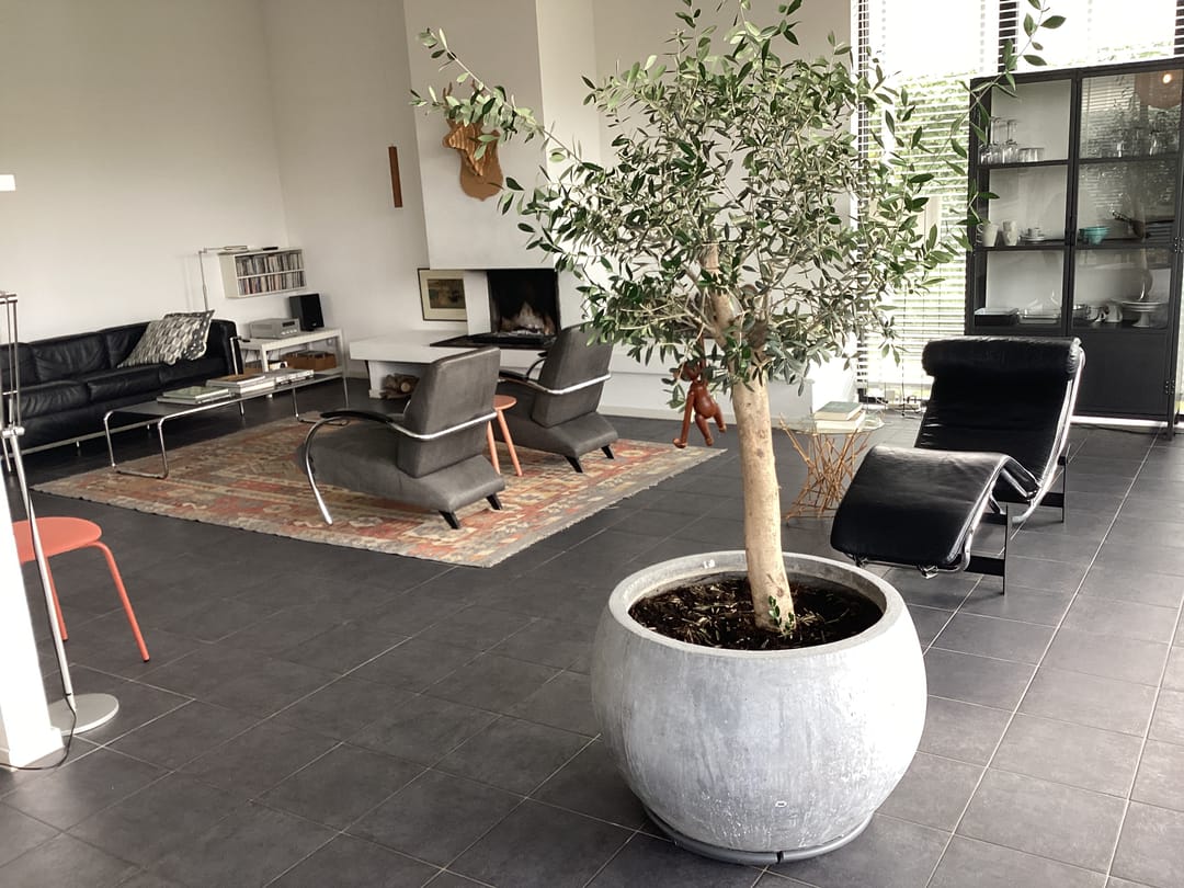 Foto 13 van Pluvierenweg 9-474