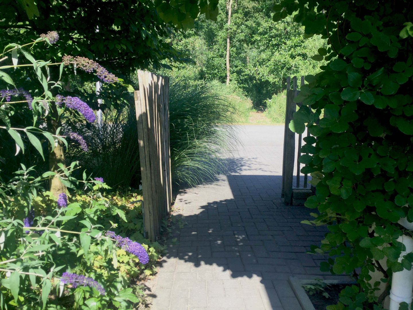 Foto 34 van Pluvierenweg 9-474