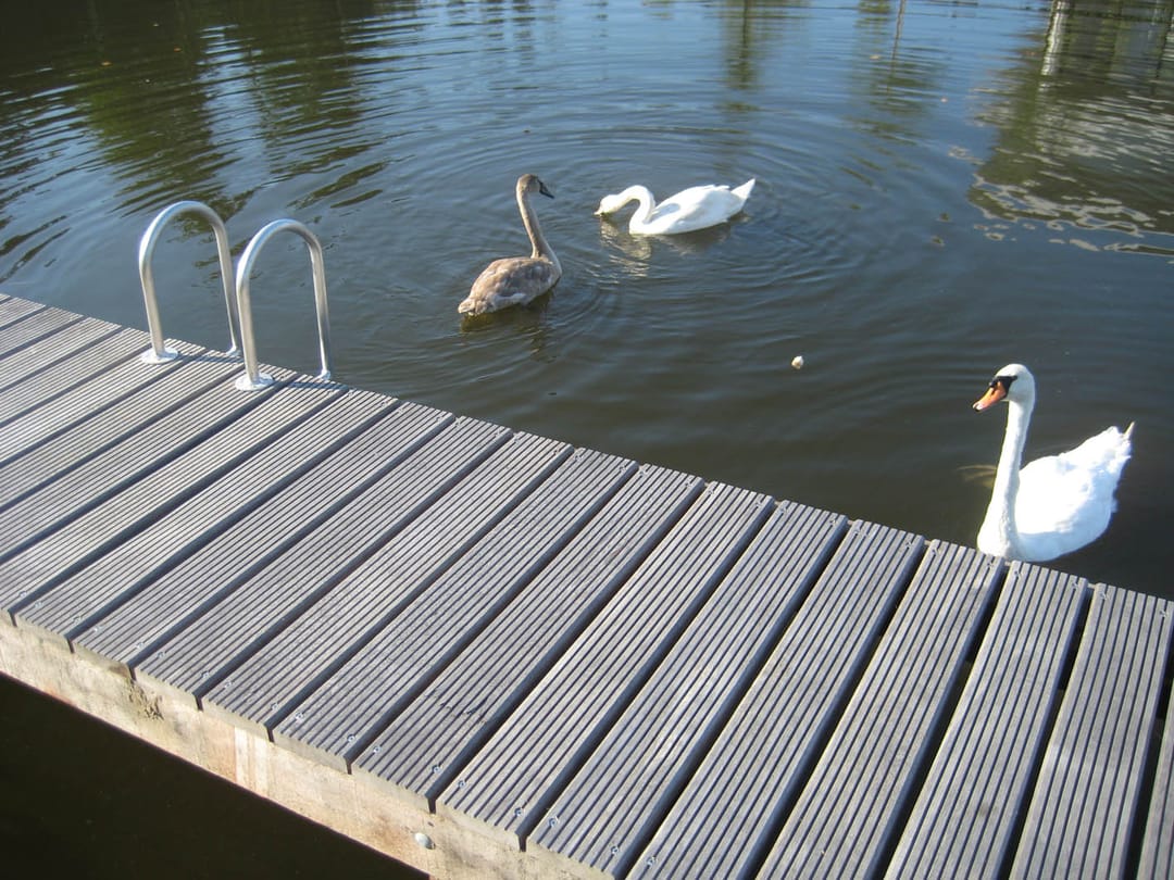 Foto 37 van Pluvierenweg 9-474