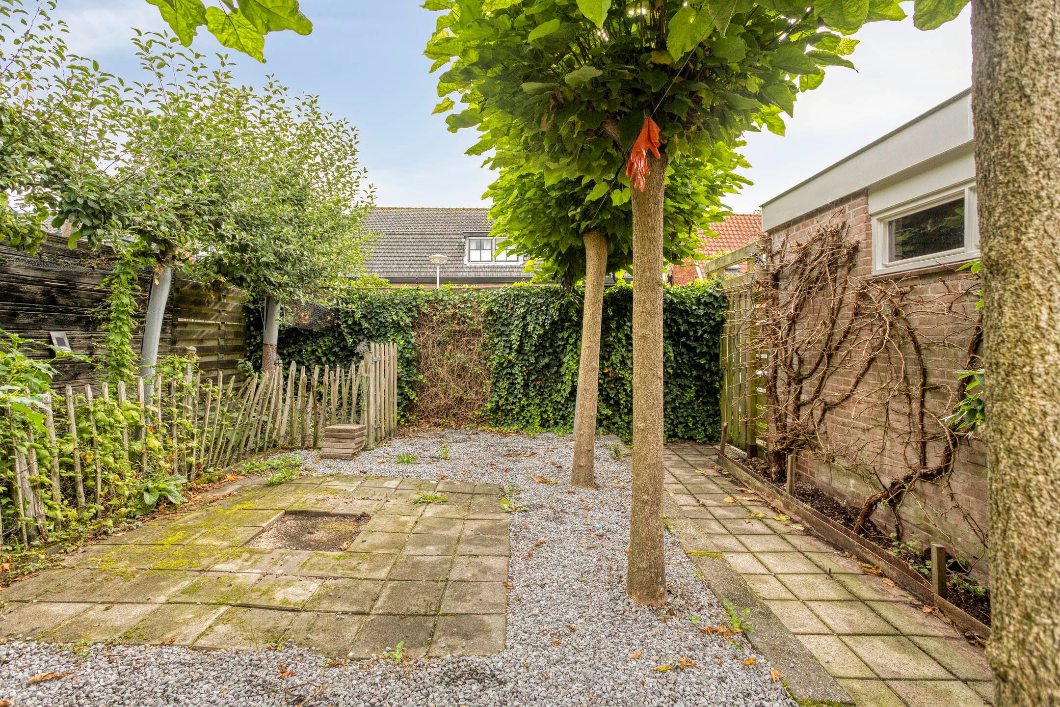 Photo 12 of Schoollaan 113