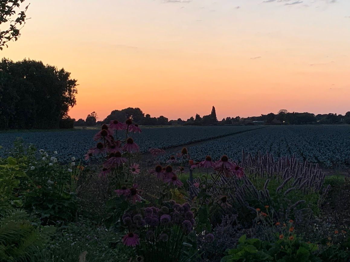 Foto 39 van Kleingouw 87-A