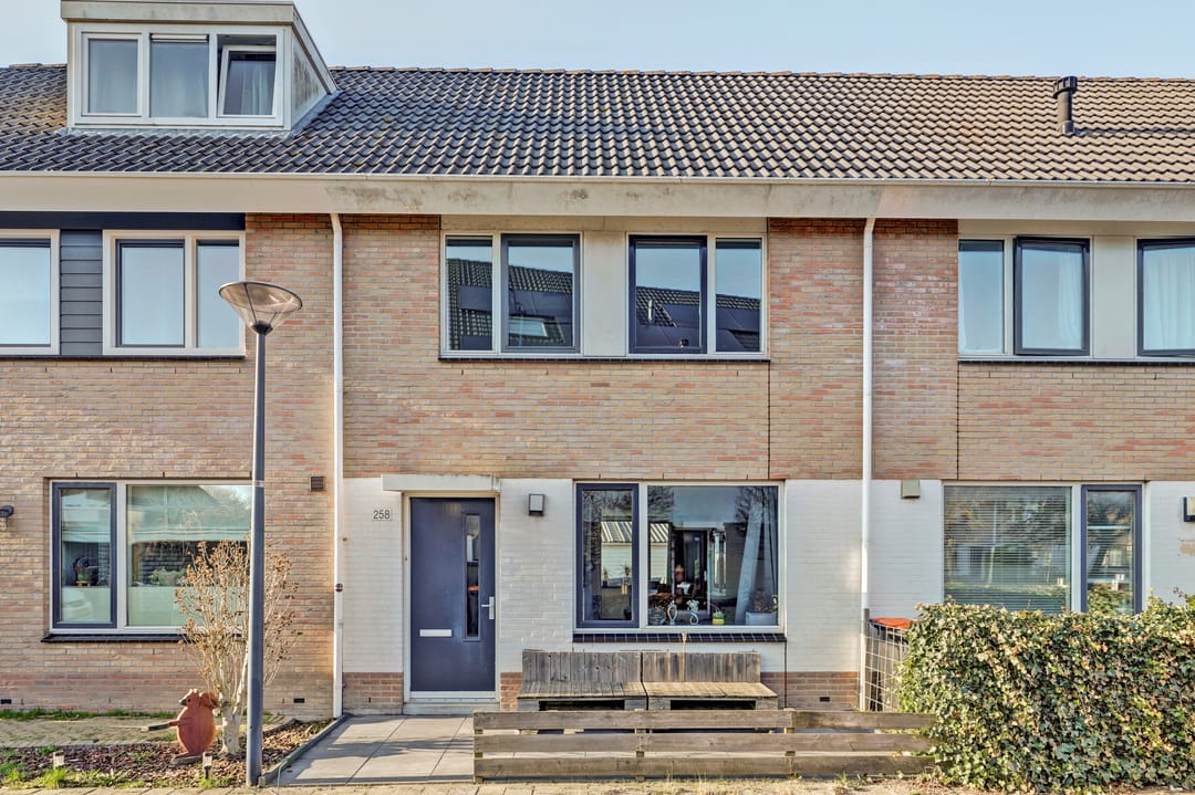 Photo 1 of Robert Stolzhof 258