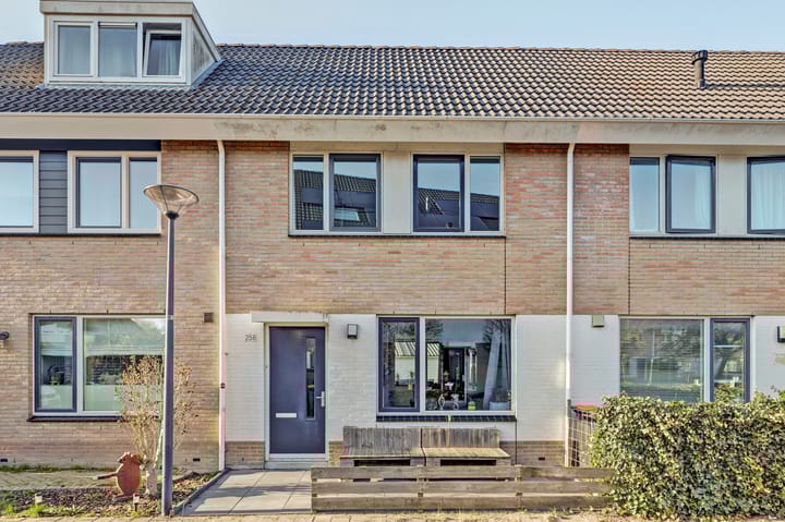 Robert Stolzhof 258 main image