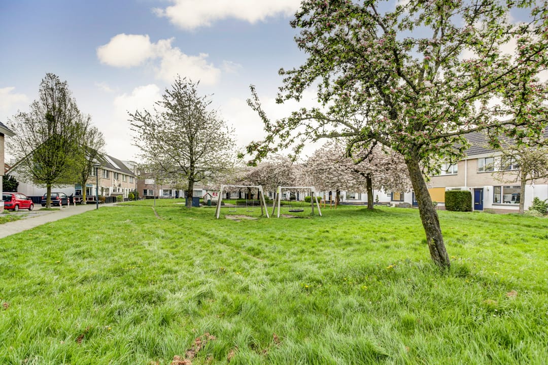 Photo 28 of Robert Stolzhof 258