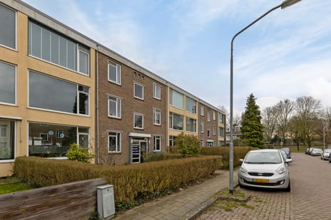 Willem de Rijkestraat thumbnail