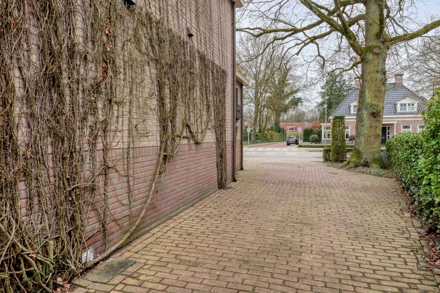 Foto 55 van Hammerweg 7