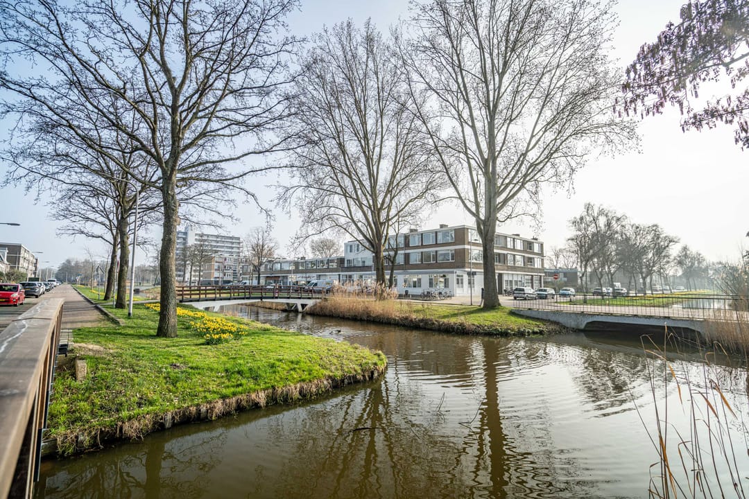 Foto 46 van Gerard Douplantsoen 38