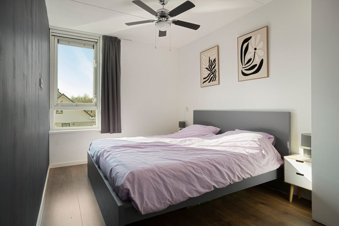 Photo 16 of Purmer 20