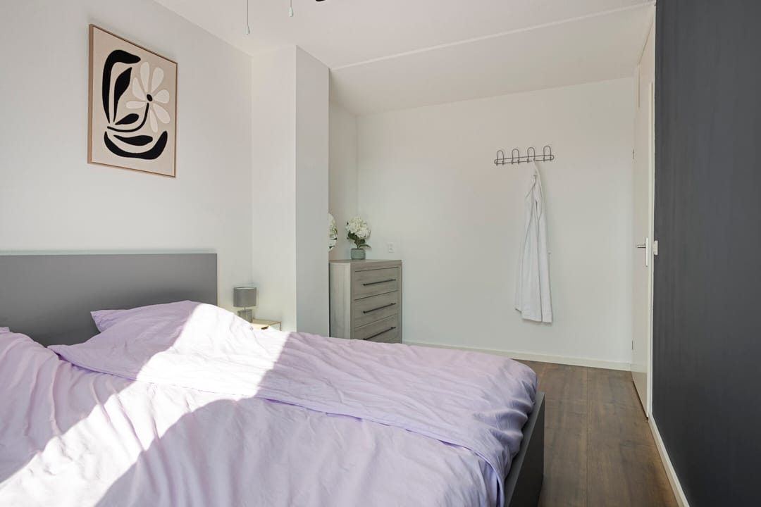 Photo 17 of Purmer 20