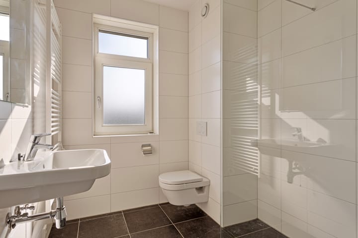 Photo 3 of Satijnzwam 109