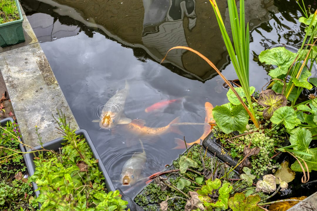 Photo 41 of Johannes ter Horststraat 10