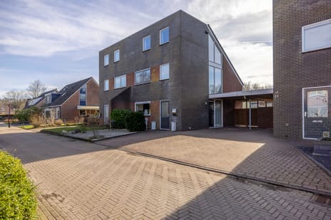 Reiger 11 tertiary image