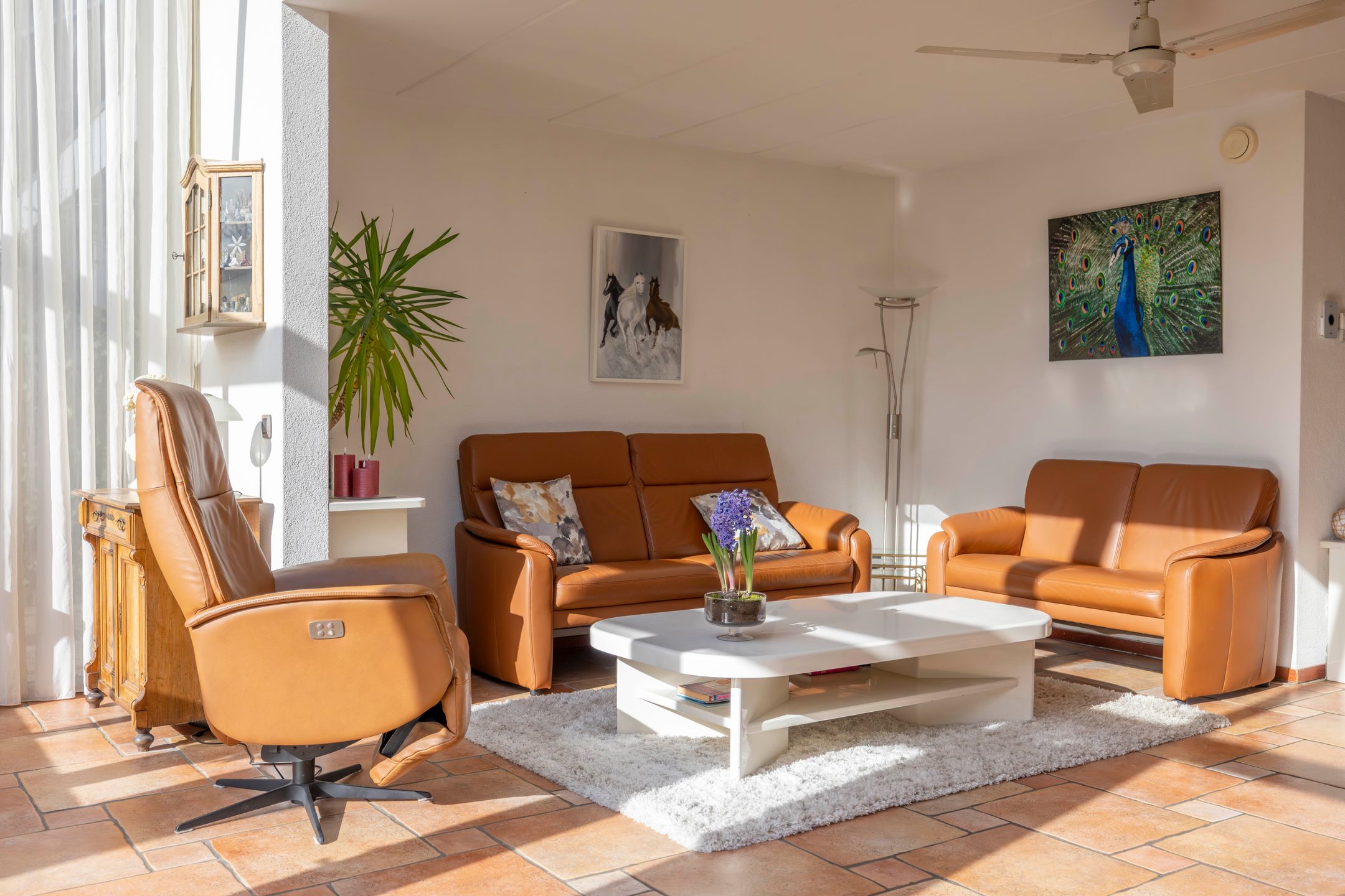 Foto 6 van Reiger 11