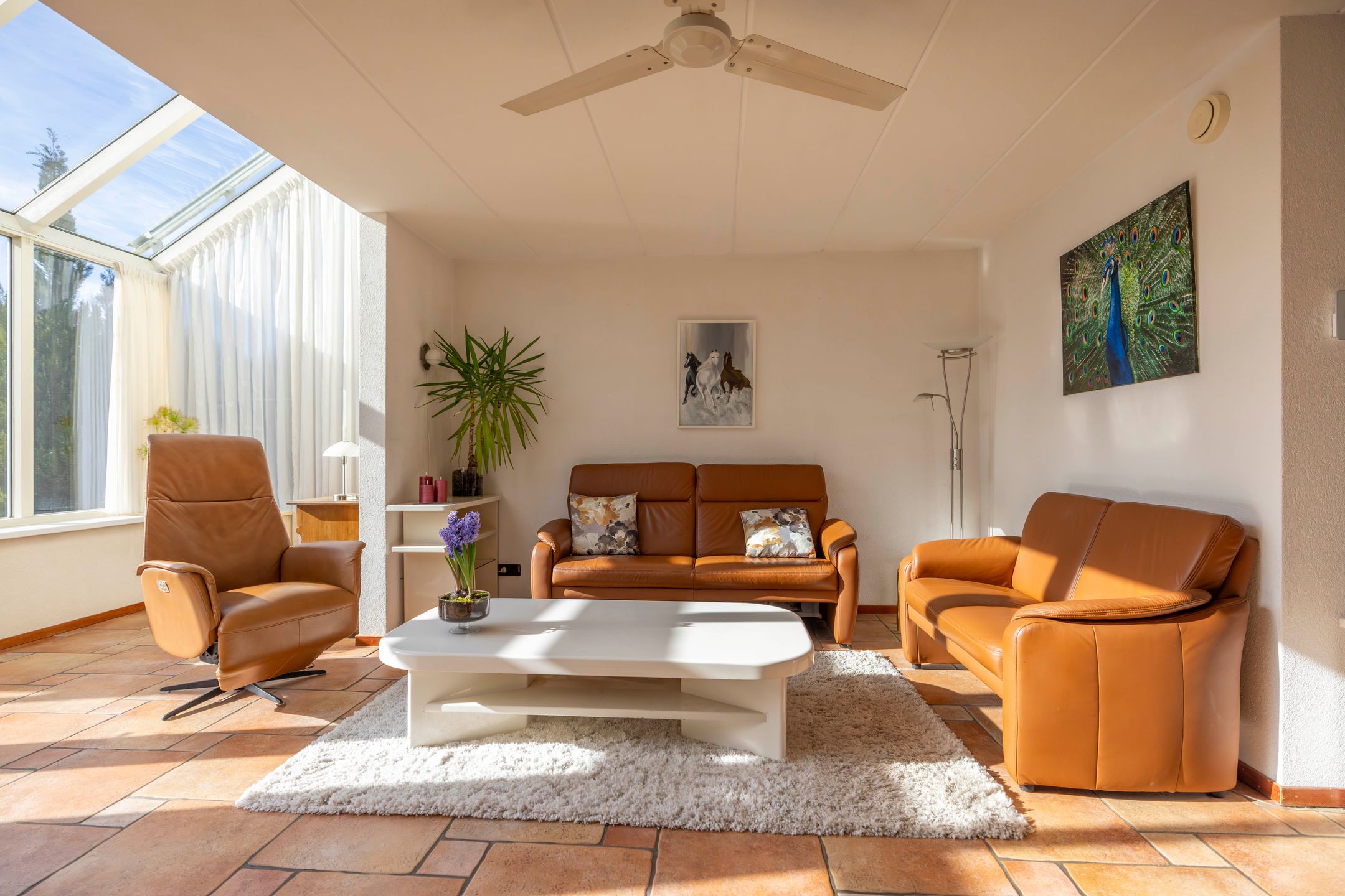 Foto 9 van Reiger 11