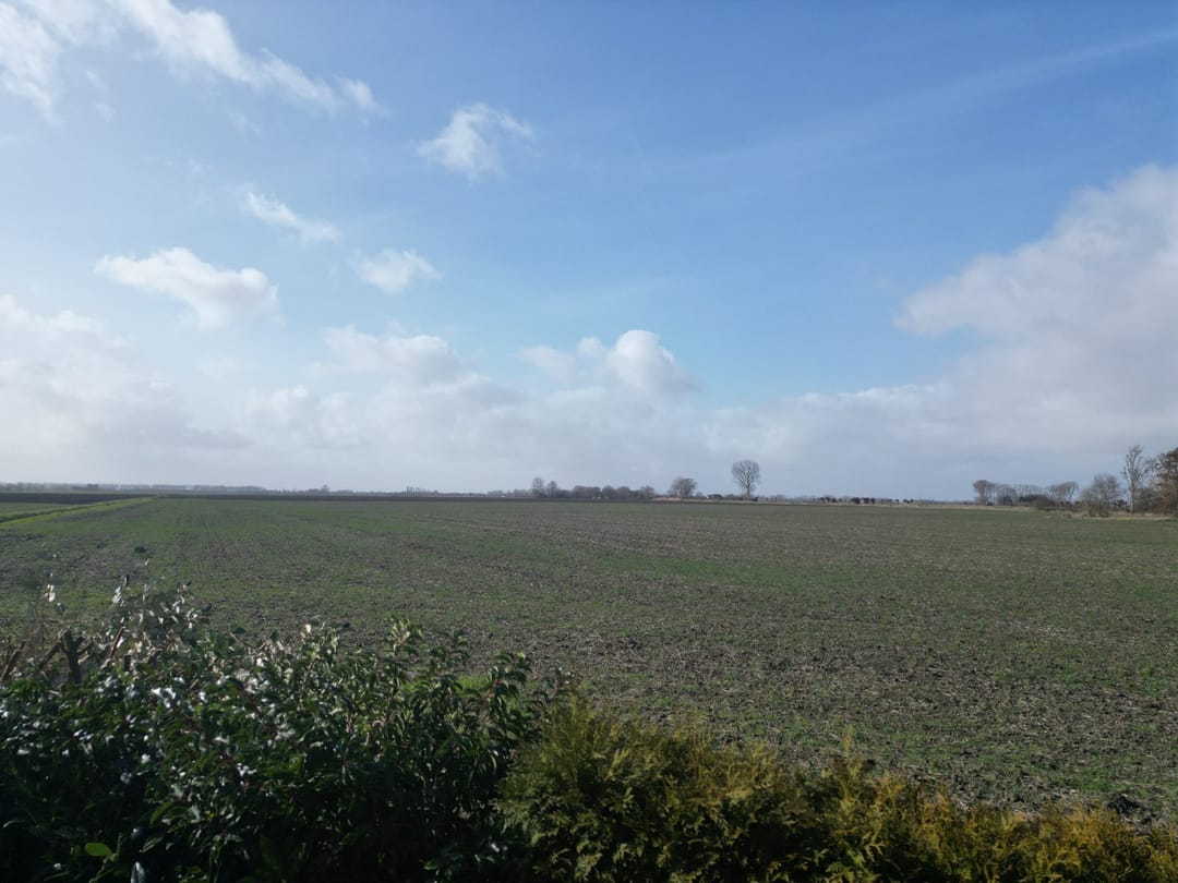 Foto 31 van Sluissedijk 15