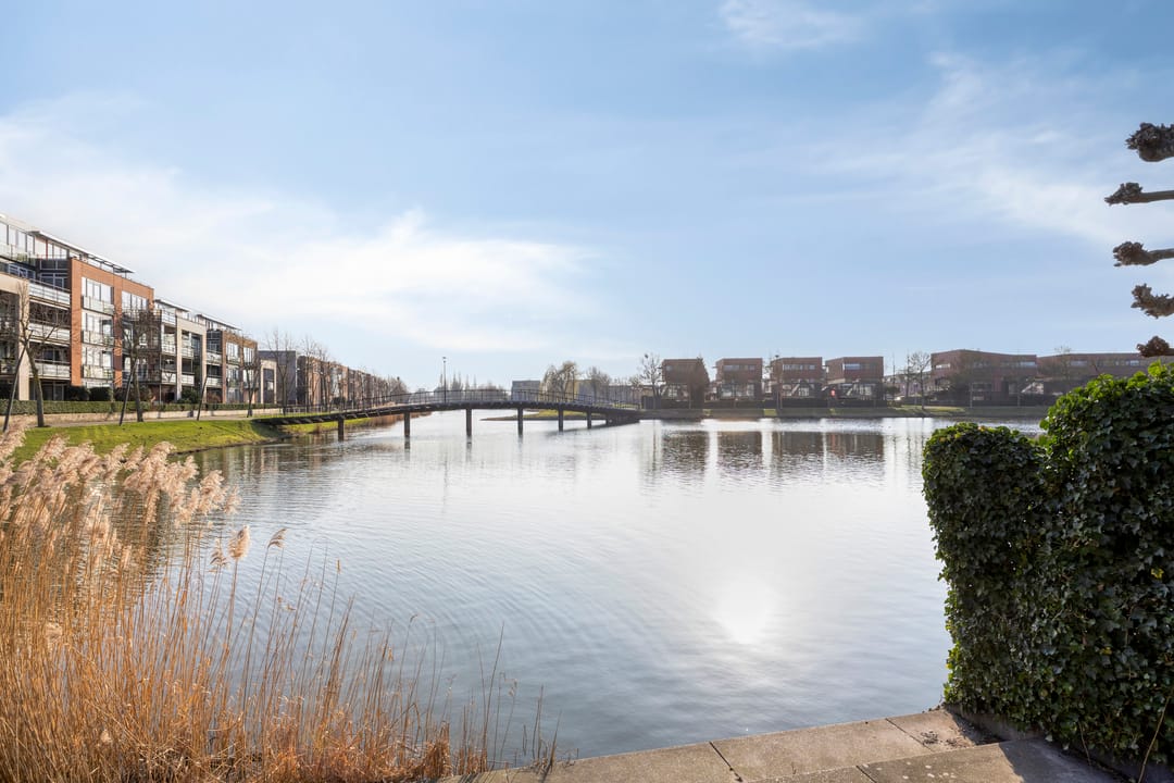 Photo 32 of Habanera 45