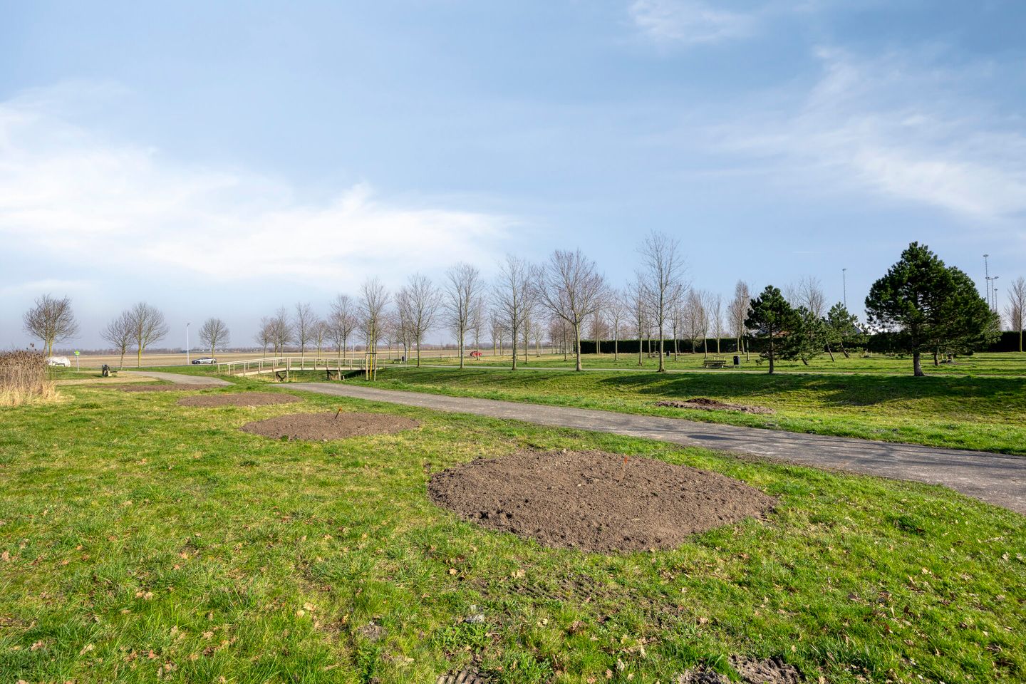 Photo 35 of Habanera 45