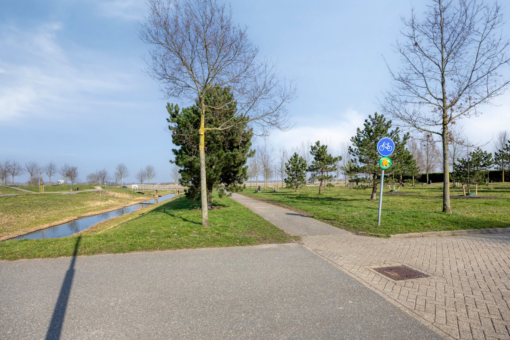 Photo 36 of Habanera 45