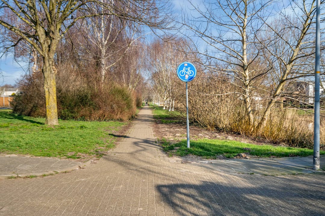 Foto 52 van Fugaplantsoen 13