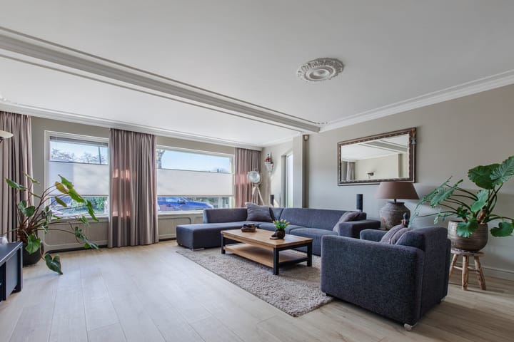 Foto 2 van Trekbeemd 13