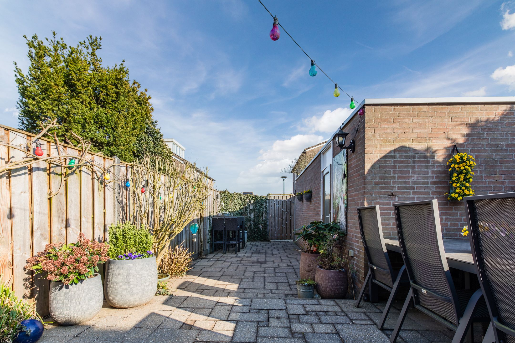 Photo 39 of Trekbeemd 13