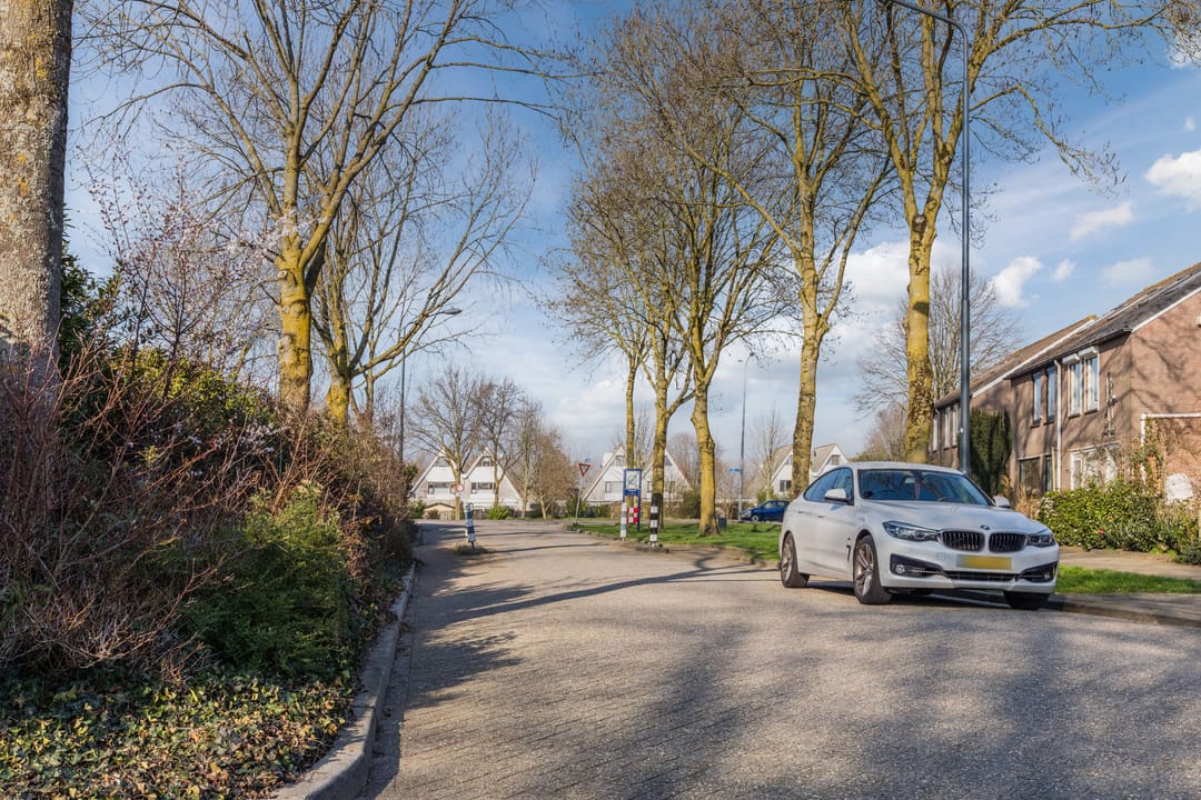 Photo 52 of Trekbeemd 13