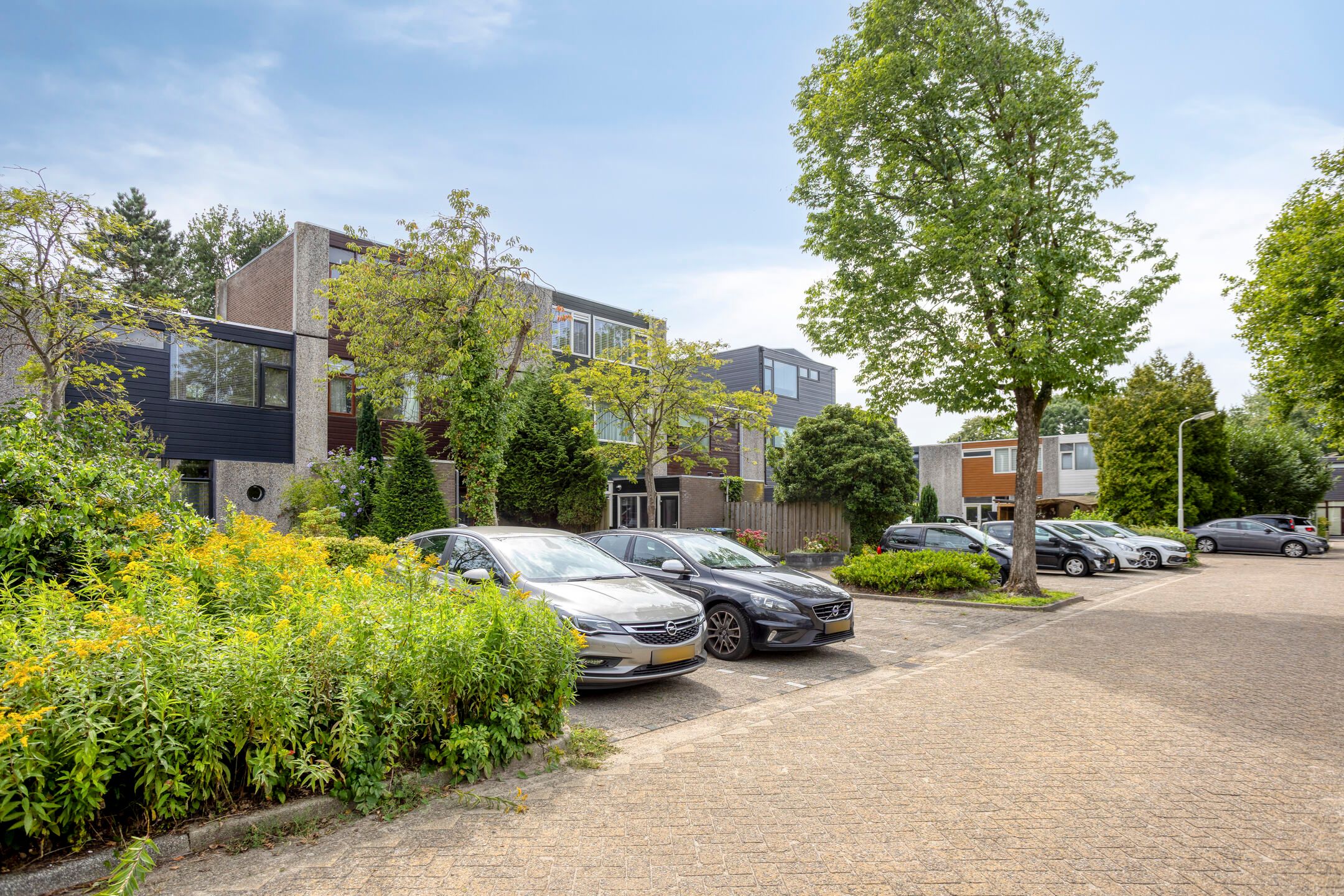 Foto 6 van Brouwersveld 3