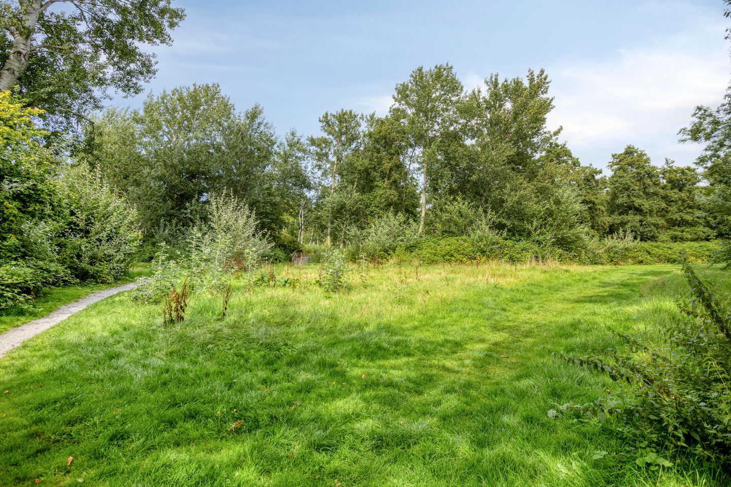 Foto 44 van Brouwersveld 3