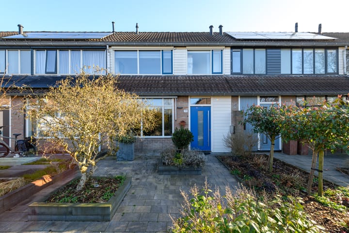 De Nova Cura 99 main image