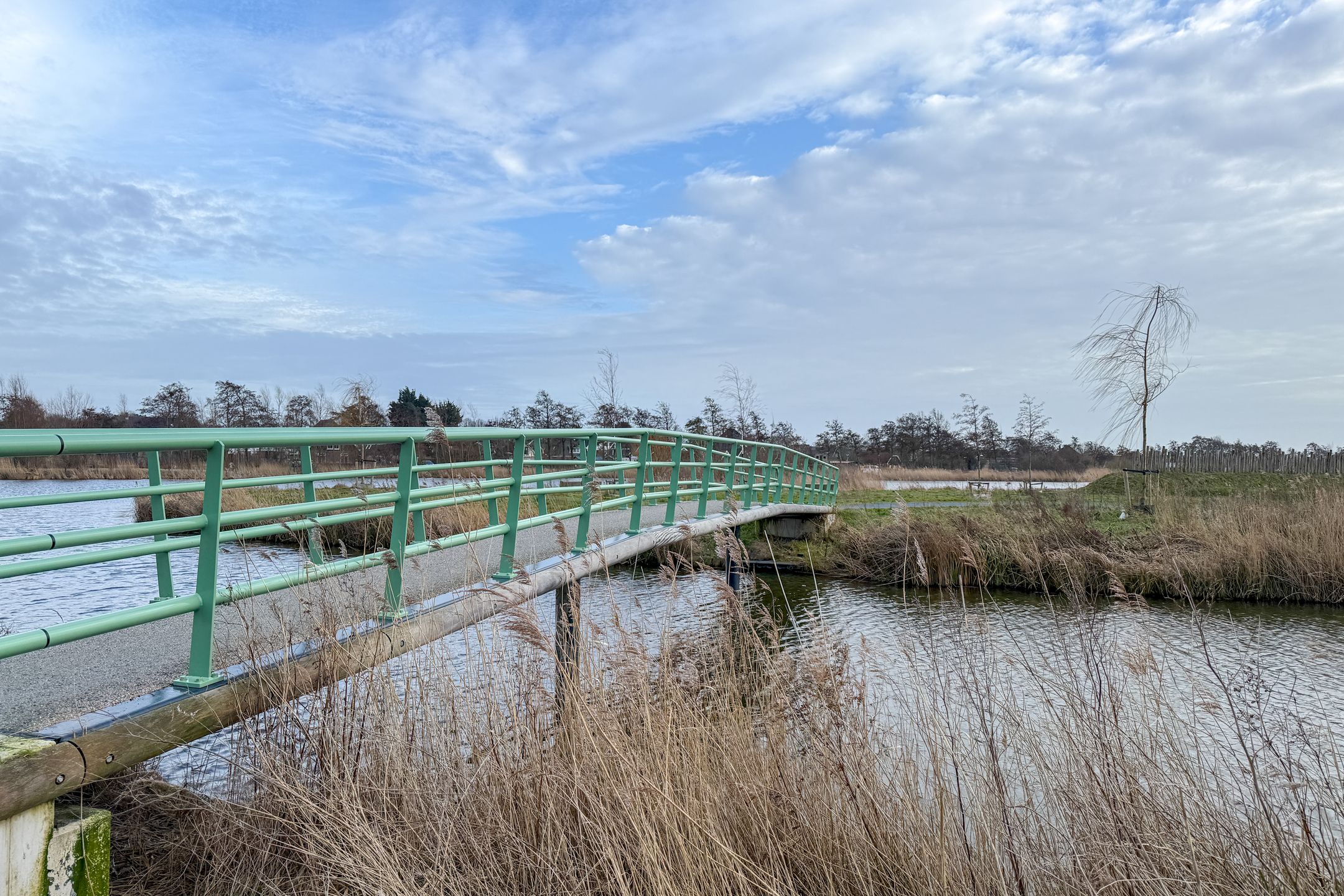 Foto 75 van Reijersgroet 97