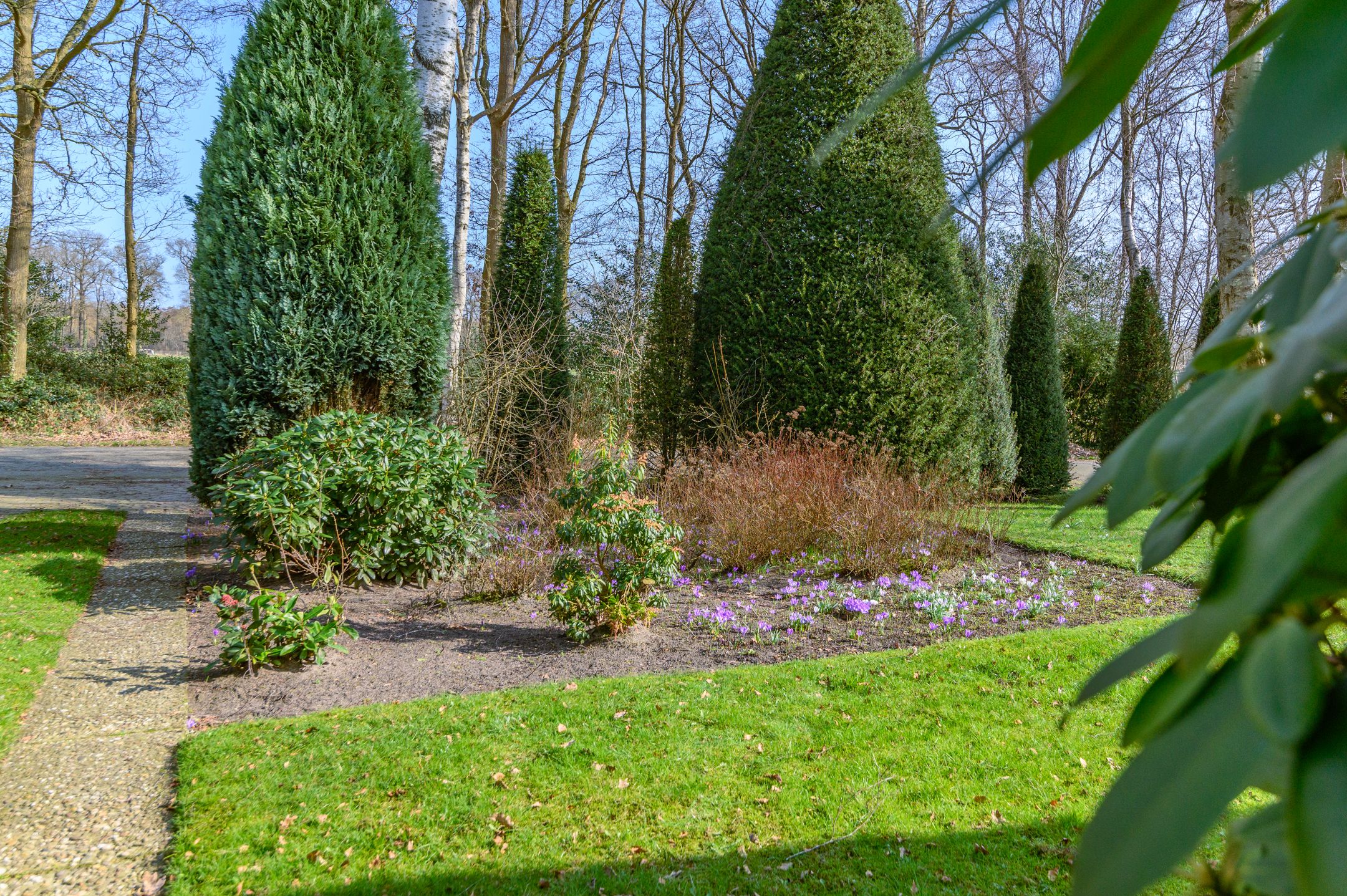 Photo 48 of Prinses Beatrixlaan 5