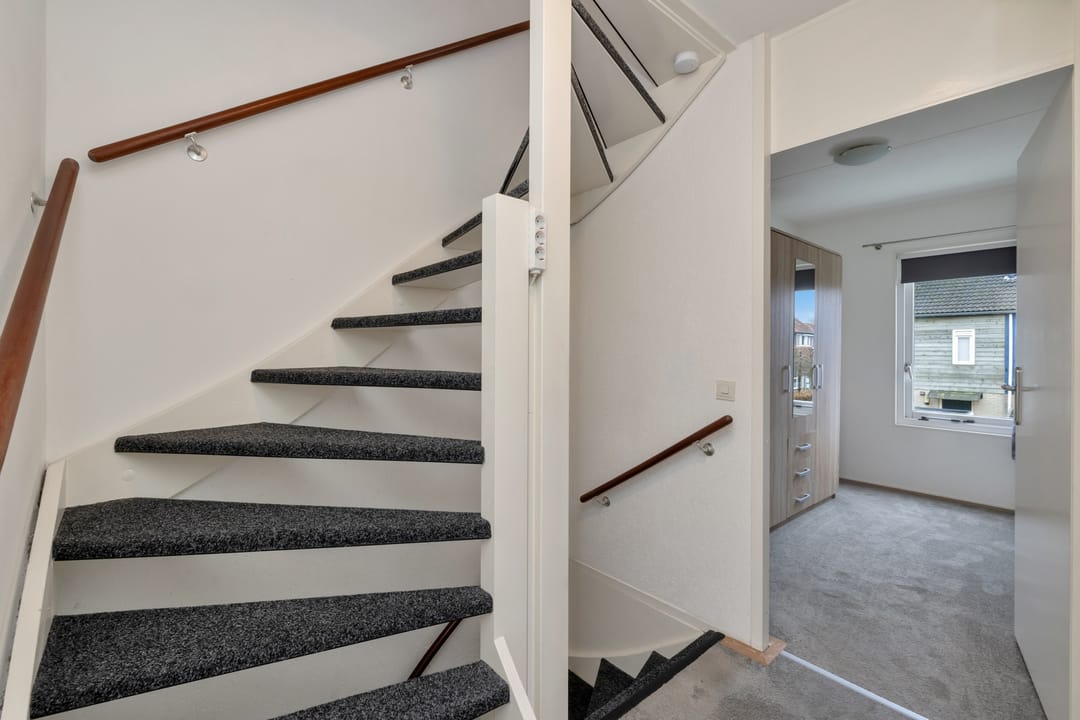 Photo 17 of Rietmees 51