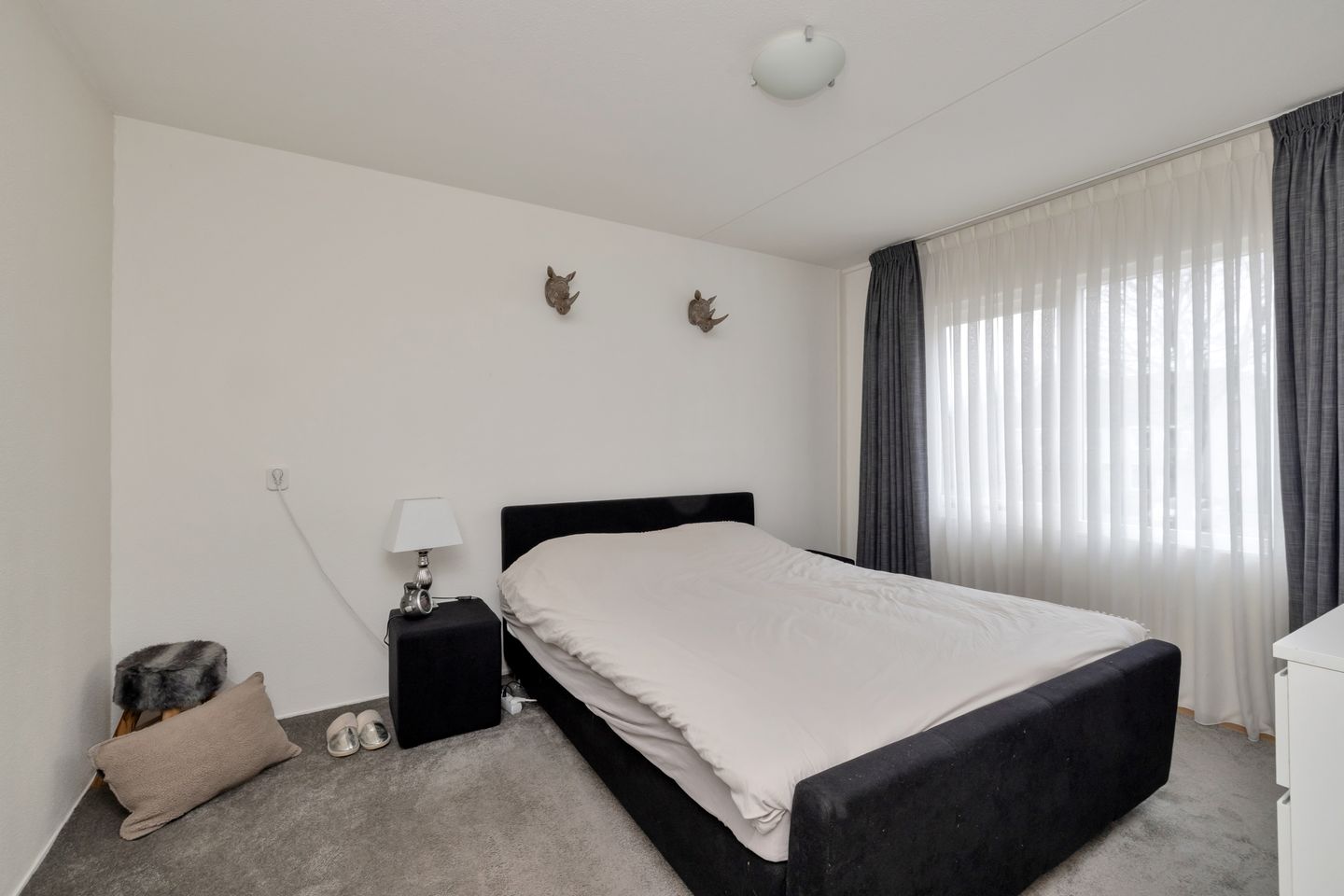 Photo 34 of Rietmees 51