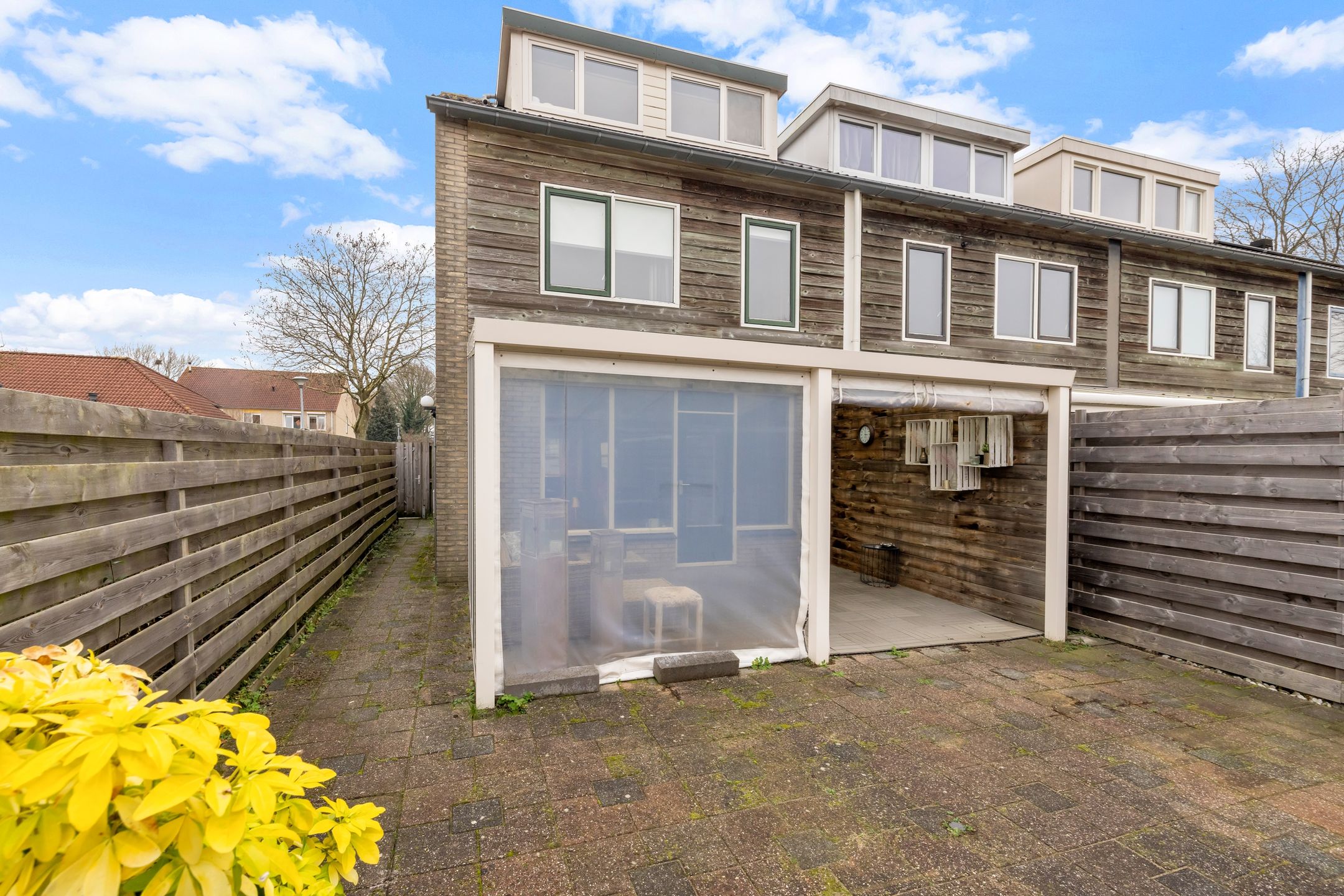 Photo 39 of Rietmees 51