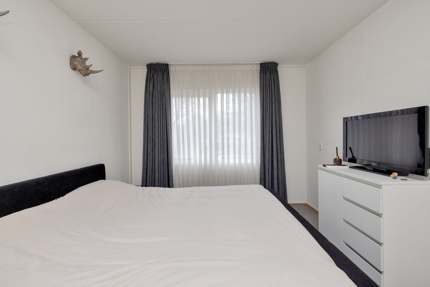 Photo 35 of Rietmees 51