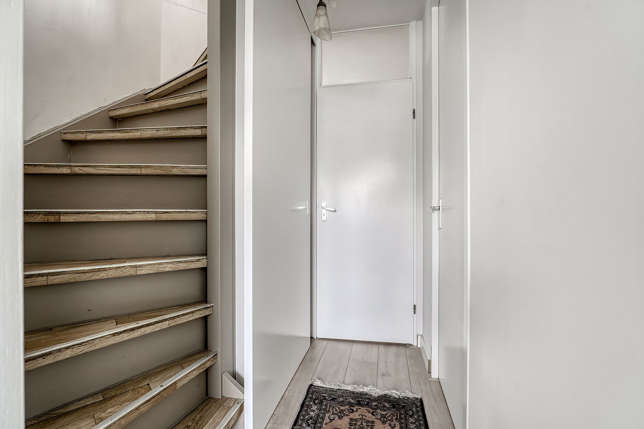 Foto 18 van Steenbok 18