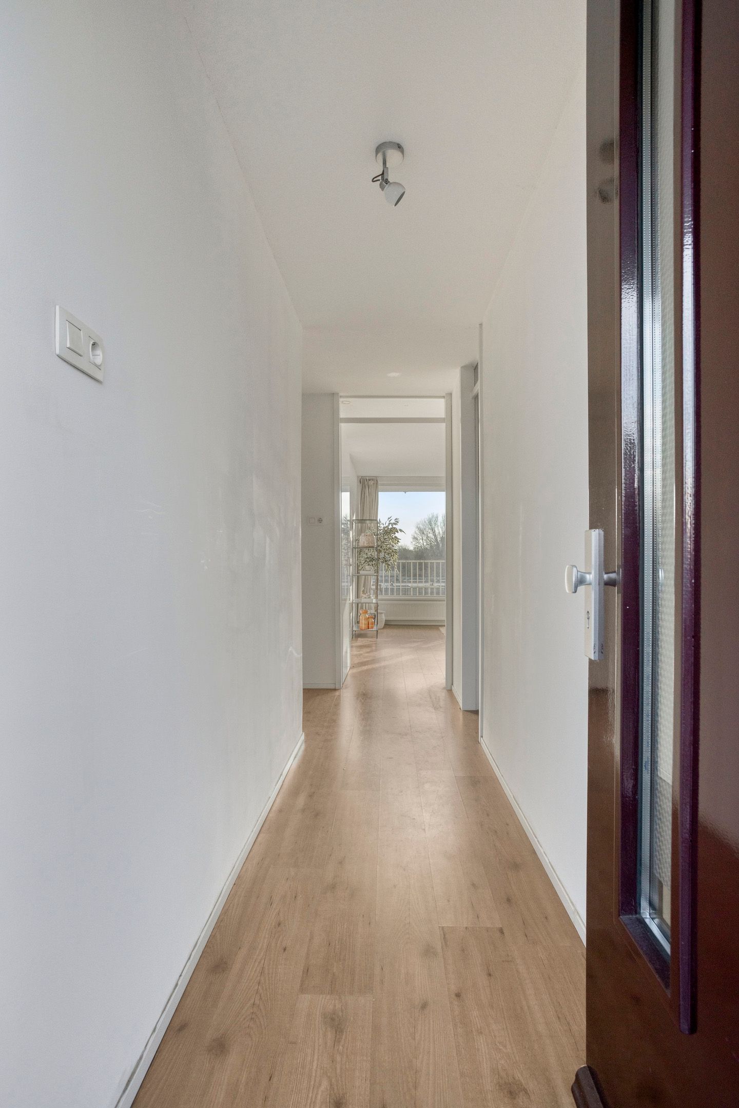 Foto 35 van Rijswijkstraat 41