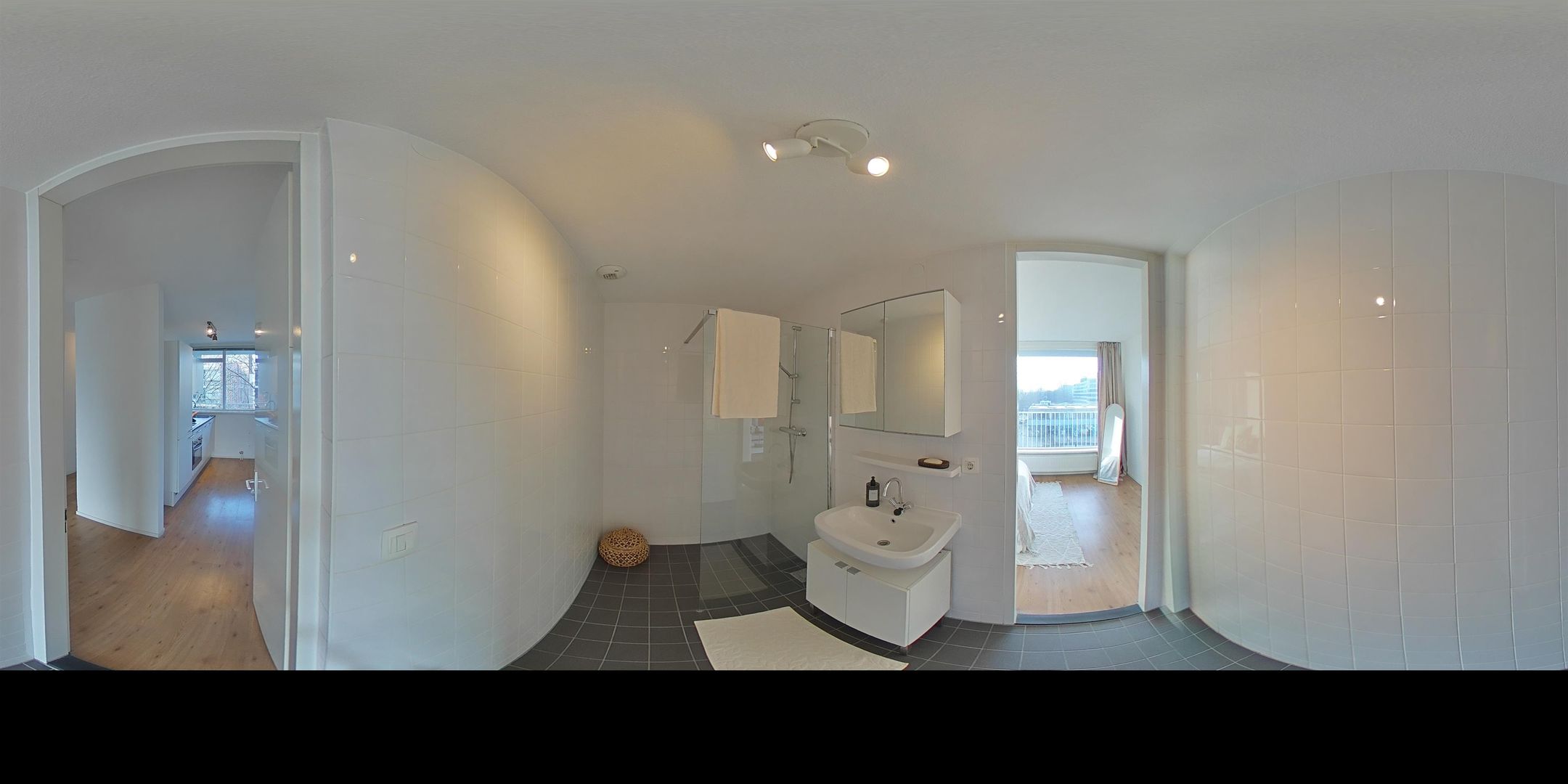 Foto 48 van Rijswijkstraat 41