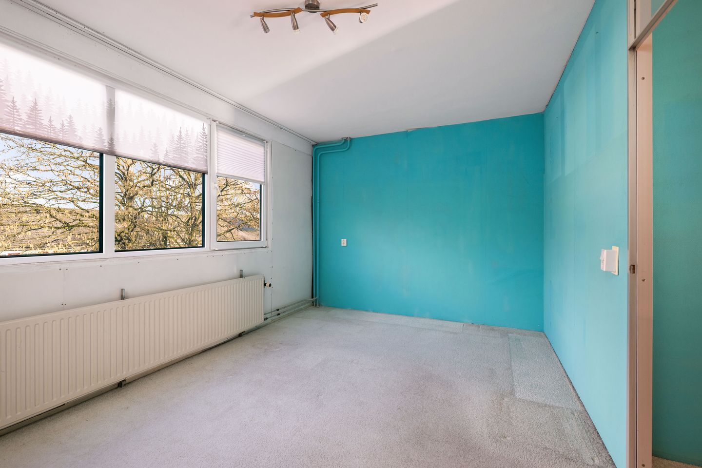 Foto 14 van Doornenburg 813