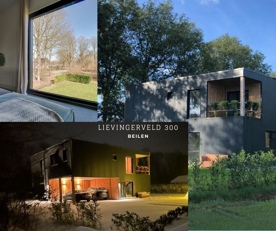 Photo 39 of Lievingerveld 300