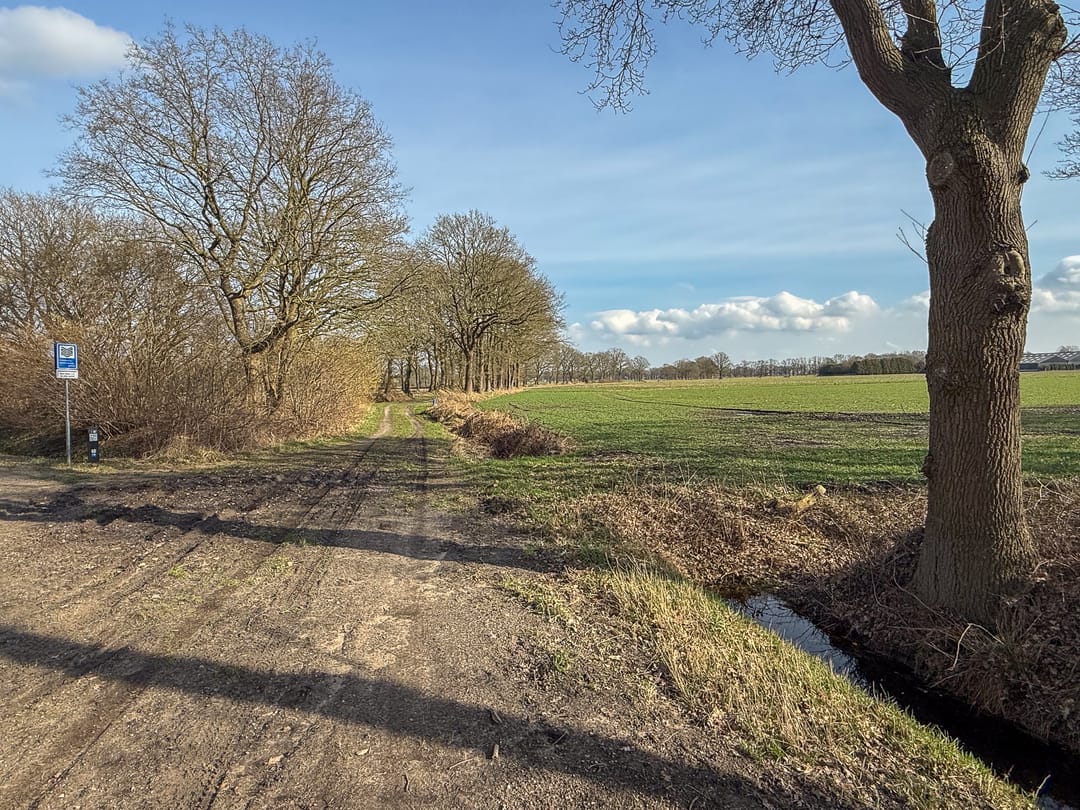 Photo 37 of Lievingerveld 300