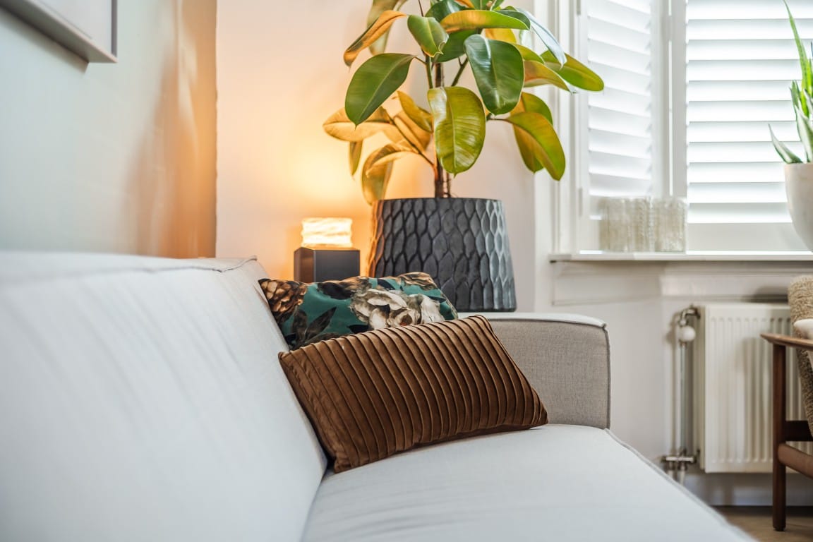 Foto 10 van Burgemeester De Roocklaan 10