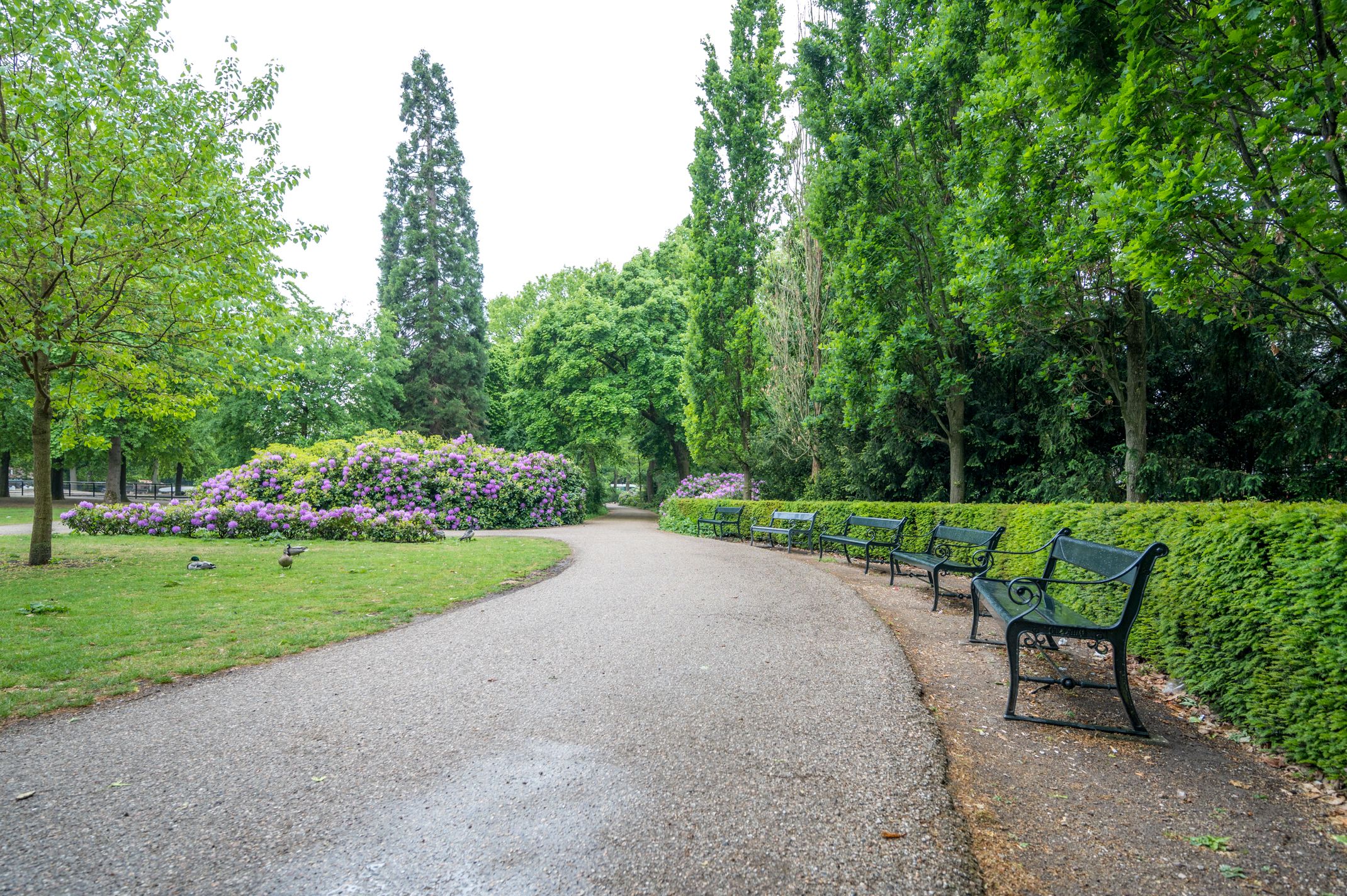 Foto 48 van Réaumurlaan 12-3