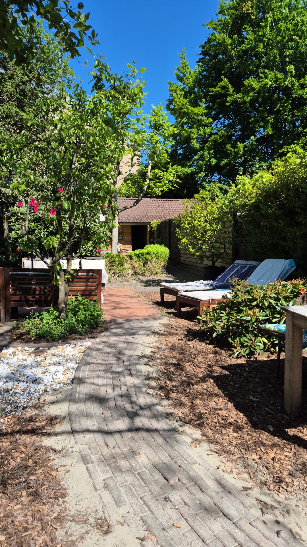 Foto 55 van Torenlaan 10