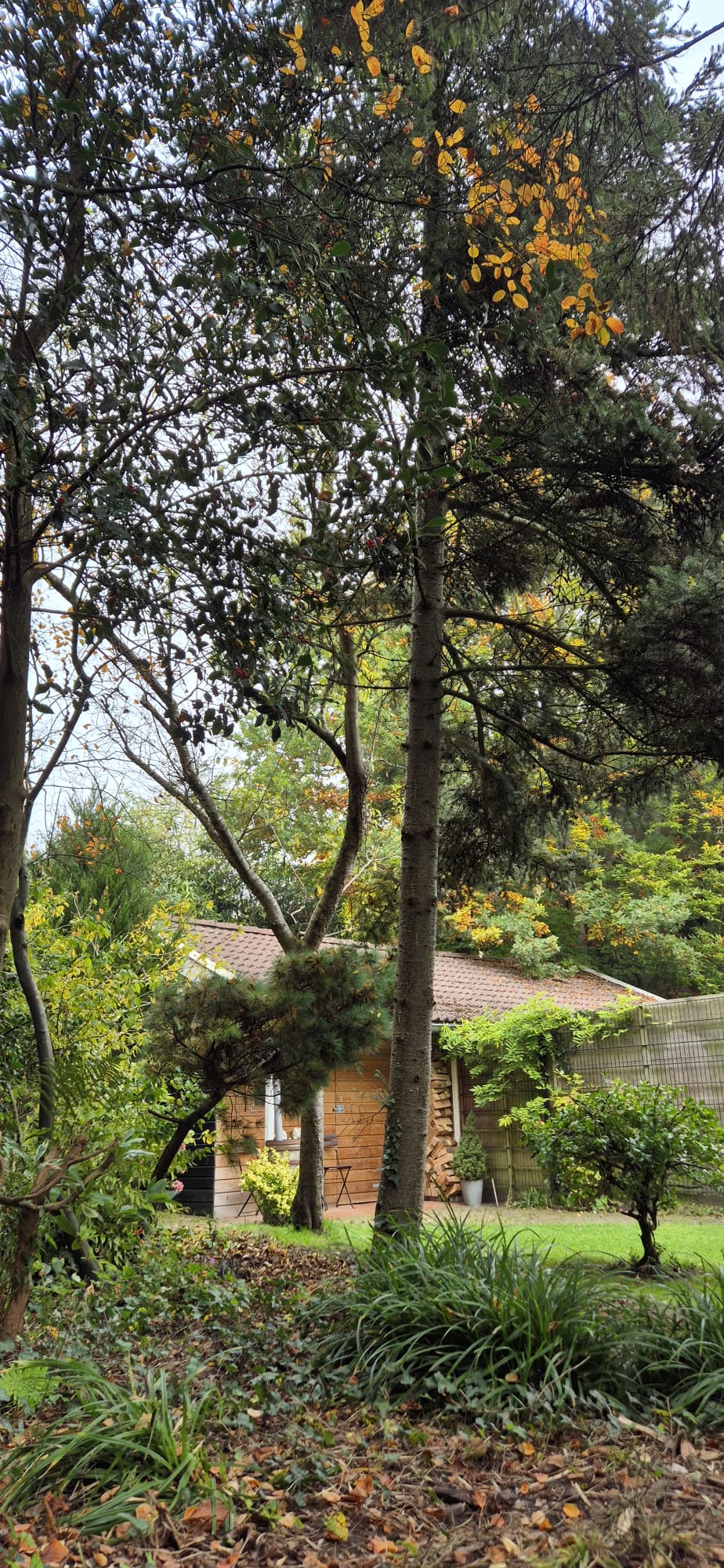 Foto 58 van Torenlaan 10