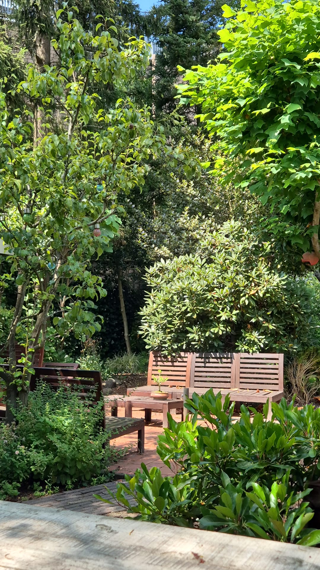 Foto 59 van Torenlaan 10