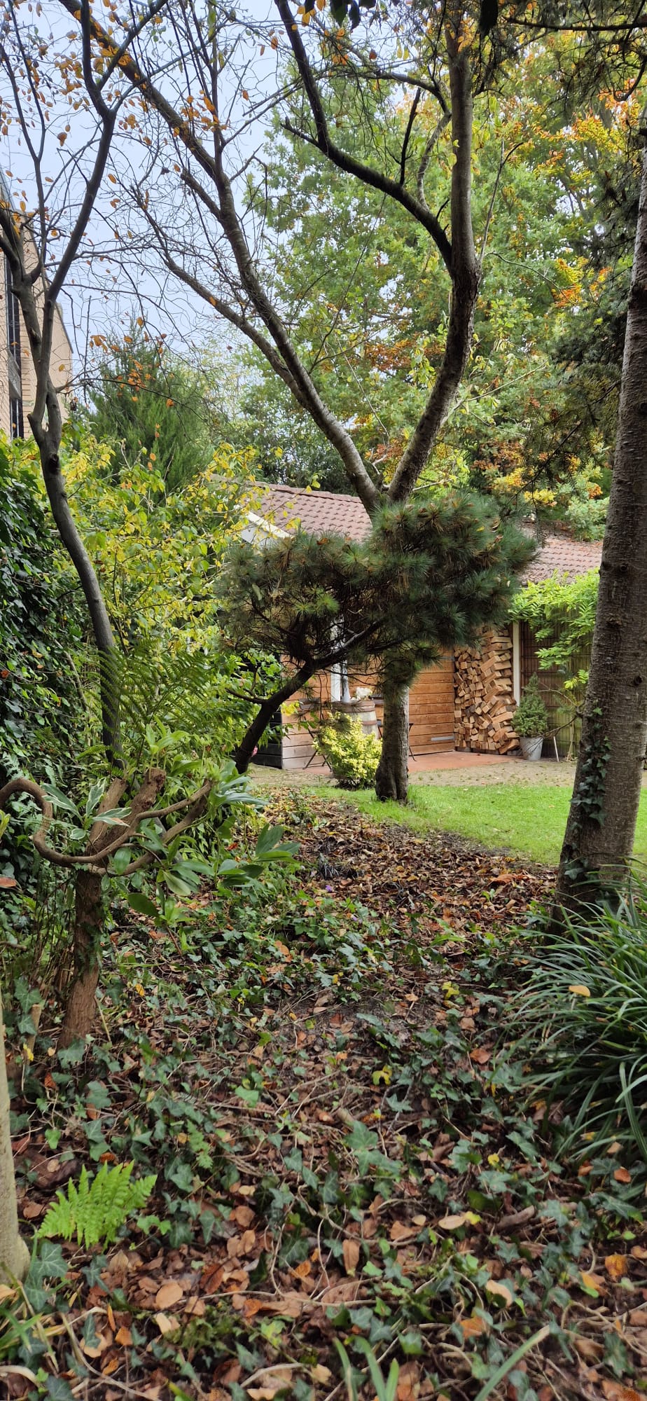 Foto 57 van Torenlaan 10