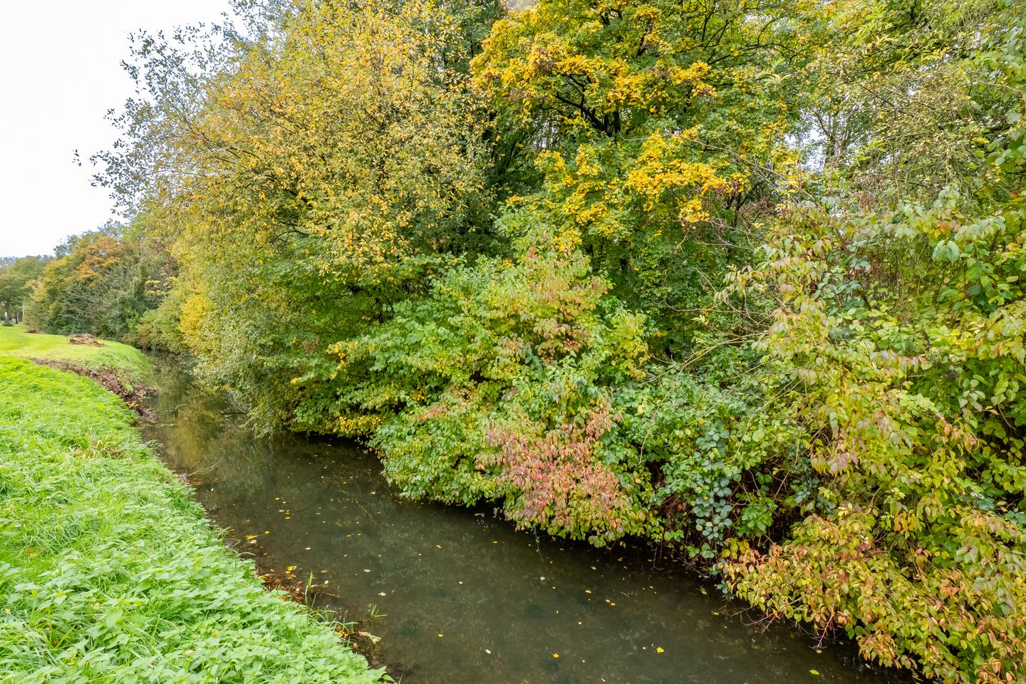 Foto 44 van Wageningseberg 218