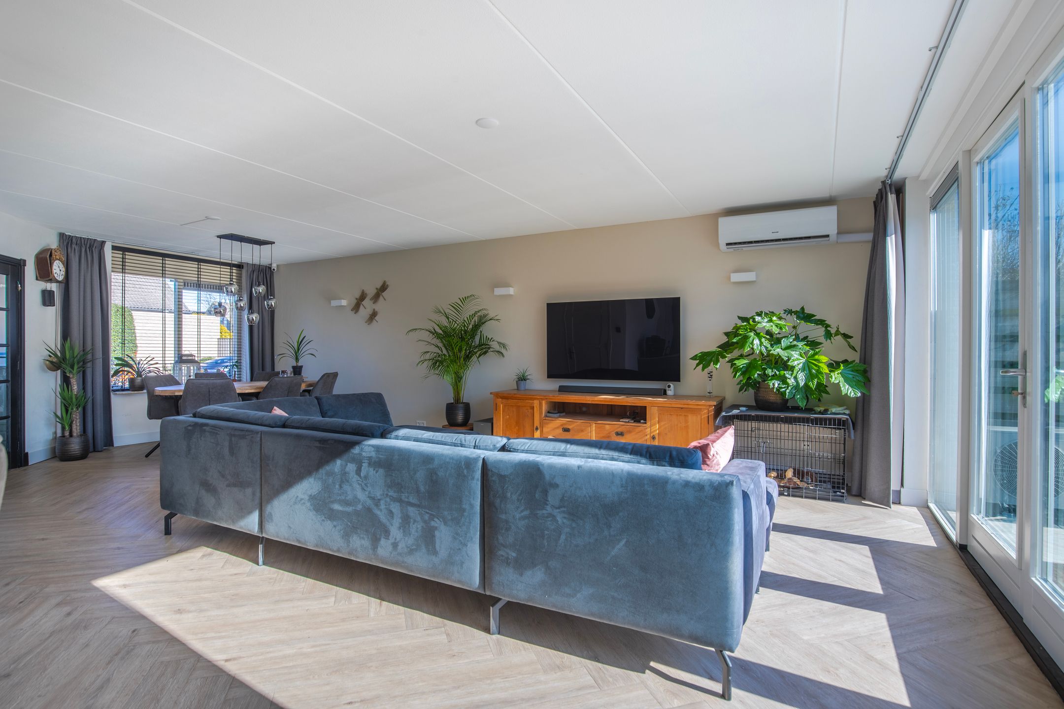 Photo 12 of Korenbloem 65