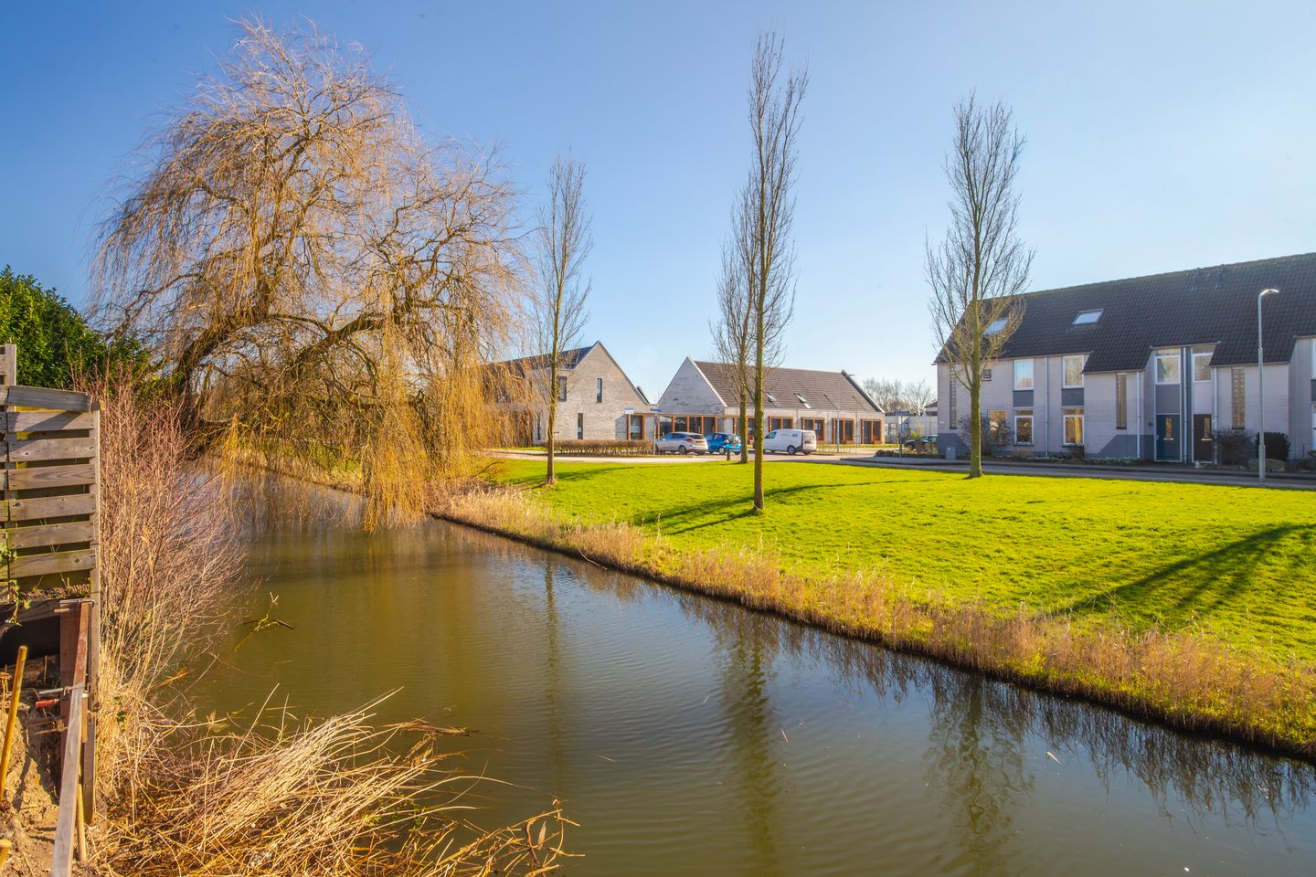 Photo 25 of Korenbloem 65